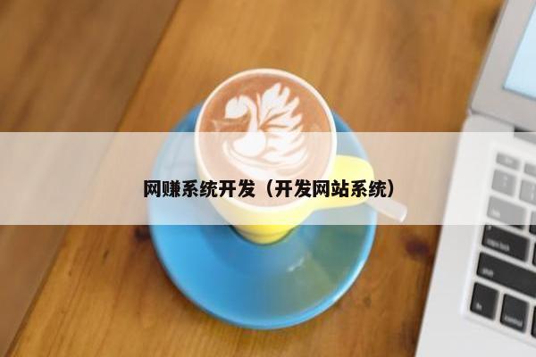 网赚系统开发（开发网站系统）