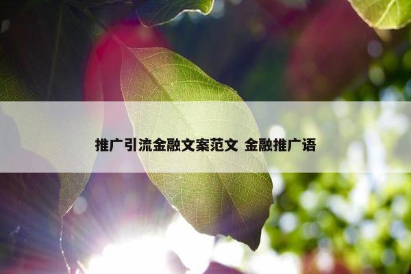 推广引流金融文案范文 金融推广语