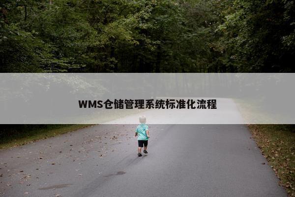 WMS仓储管理系统标准化流程