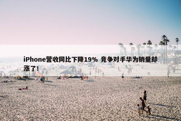 iPhone营收同比下降19% 竞争对手华为销量却涨了！