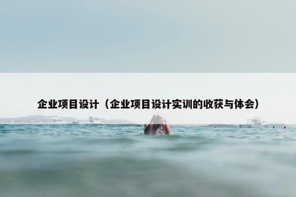 企业项目设计（企业项目设计实训的收获与体会）