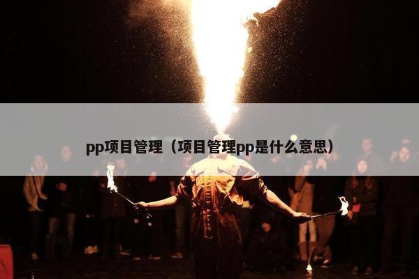 pp项目管理（项目管理pp是什么意思）